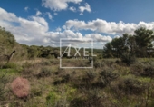 Non-developable land for sale on Ma-5020. 07620, Llucmajor, ref: TR231628 photo