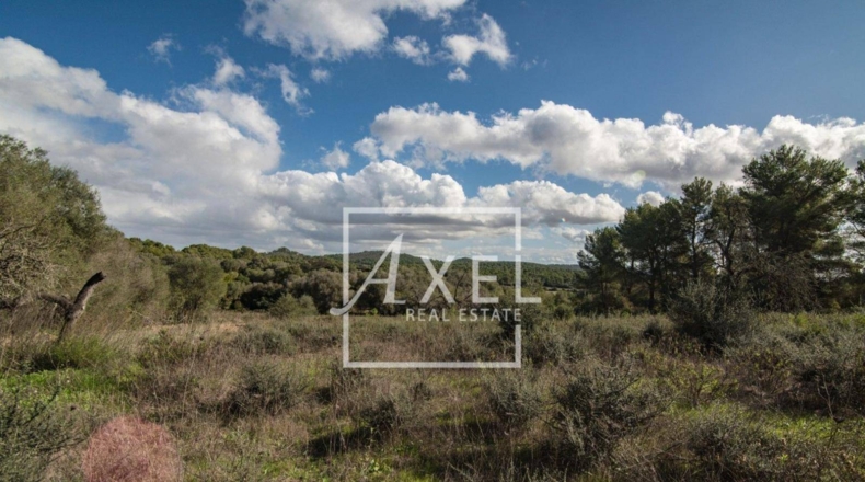Islas Baleares - Lluchmayor - 53872m2