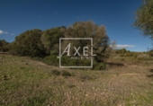 Non-developable land for sale on Ma-5020. 07620, Llucmajor, ref: TR231628 photo