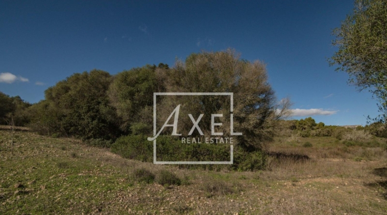 Islas Baleares - Lluchmayor - 53872m2
