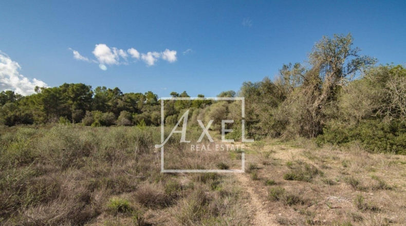 Islas Baleares - Lluchmayor - 53872m2