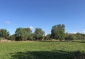 Non-developable land for sale on Poligono. 07100, Felanitx, ref: TR231627 photo