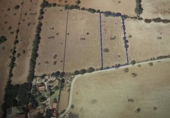Non-developable land for sale on Poligono. 07100, Felanitx, ref: TR231627 photo