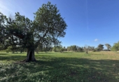Non-developable land for sale on Poligono. 07100, Felanitx, ref: TR231627 photo