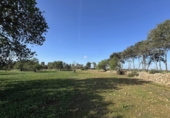 Non-developable land for sale on Poligono. 07100, Felanitx, ref: TR231627 photo