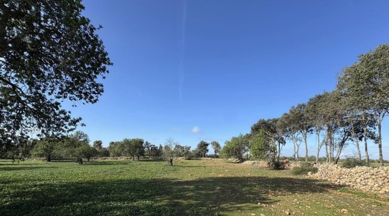 Islas Baleares - Феланич - 20000m2