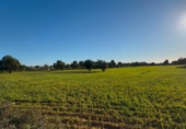 Non-developable land for sale on Via de Servicio M-19. 07609, Llucmajor, ref: TR231825 photo