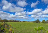 Non-developable land for sale on Via de Servicio M-19. 07609, Llucmajor, ref: TR231825 photo