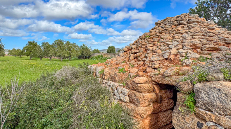 Islas Baleares - Badia Gran - 19000m2