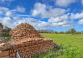 Non-developable land for sale on Via de Servicio M-19. 07609, Llucmajor, ref: TR231825 photo