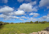 Non-developable land for sale on Via de Servicio M-19. 07609, Llucmajor, ref: TR231825 photo