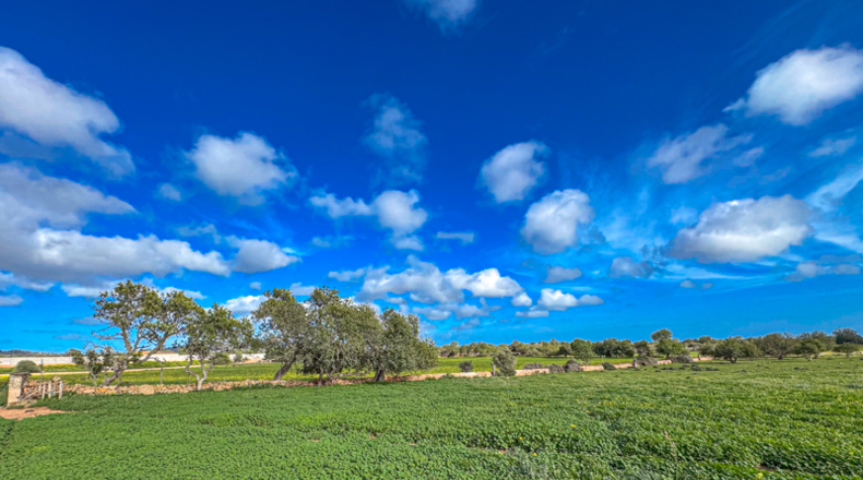 Illes Balears - Llucmajor - 200000m2