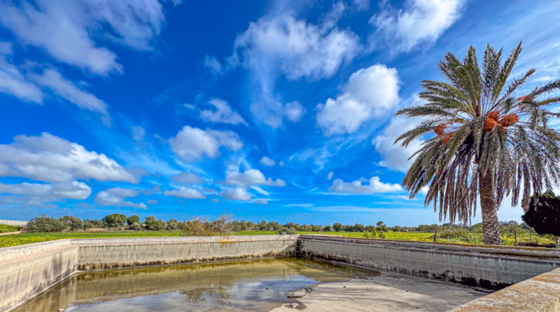 Illes Balears - Llucmajor - 200000m2