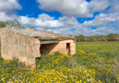Finca rústica en venta en la Cami de Son Puigserver. 07620, Llucmajor, ref: TR231834 foto