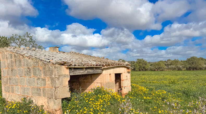 Illes Balears - Llucmajor - 200000m2