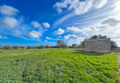 Finca rústica en venta en la Cami de Son Puigserver. 07620, Llucmajor, ref: TR231834 foto