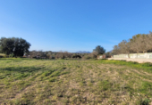 Non-developable land for sale on Poligono. 07620, Llucmajor, ref: TR231626 photo