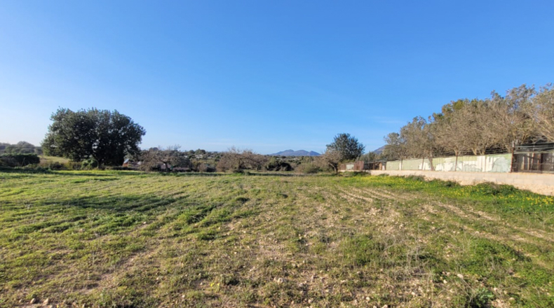 Islas Baleares - Lluchmayor - 7083m2