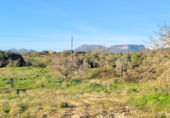Non-developable land for sale on Poligono. 07620, Llucmajor, ref: TR231626 photo