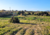 Non-developable land for sale on Poligono. 07620, Llucmajor, ref: TR231626 photo