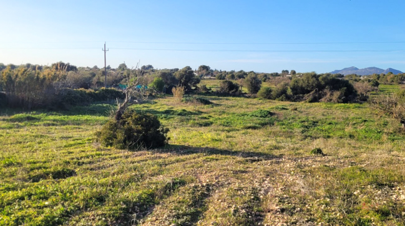 Islas Baleares - Lluchmayor - 7083m2