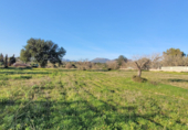 Non-developable land for sale on Poligono. 07620, Llucmajor, ref: TR231626 photo
