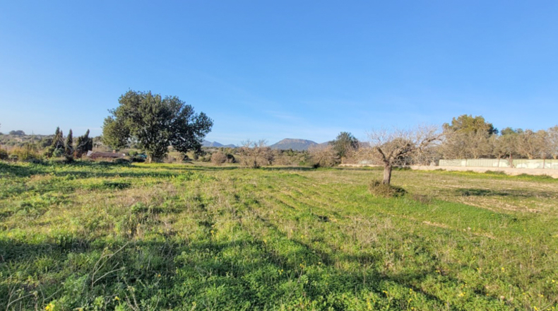 Islas Baleares - Lluchmayor - 7083m2
