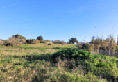 Non-developable land for sale on Poligono. 07620, Llucmajor, ref: TR231626 photo