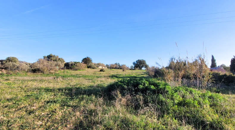 Islas Baleares - Lluchmayor - 7083m2
