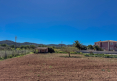 Parcela urbanizable en venta en la Cami de son Gardana. 07260, Porreras, ref: TR231860 foto