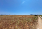Non-developable land for sale in Felanitx ref: TR306738 photo