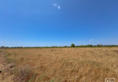 Non-developable land for sale in Felanitx ref: TR306738 photo