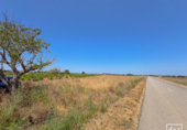 Non-developable land for sale in Felanitx ref: TR306738 photo