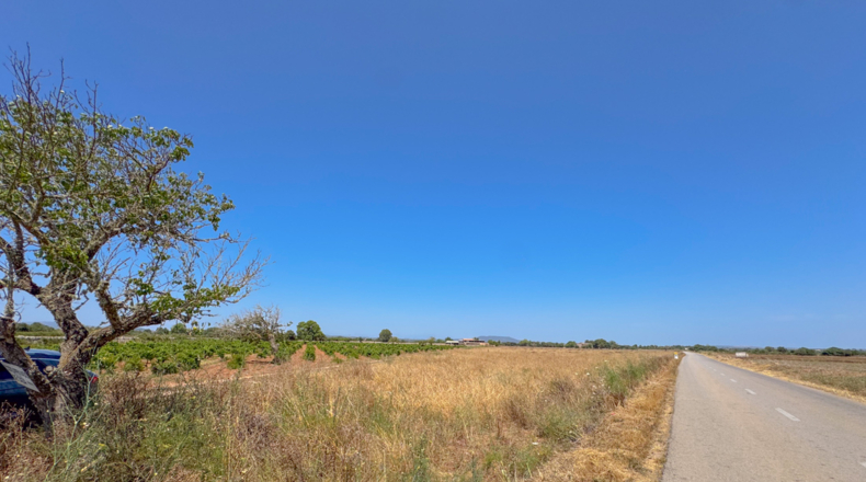 Islas Baleares - Феланич - 17000m2