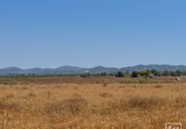 Non-developable land for sale in Felanitx ref: TR306738 photo