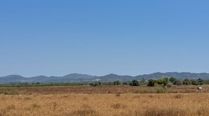 Islas Baleares - Феланич - 17000m2