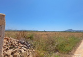 Non-developable land for sale in Felanitx ref: TR306738 photo
