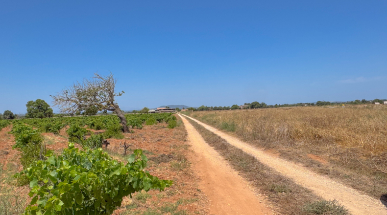 Islas Baleares - Феланич - 17000m2