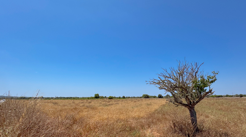 Islas Baleares - Феланич - 17000m2