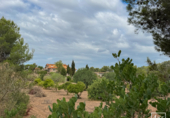 Detached villa with land for sale on Poligono. 07550, Felanitx, ref: TR353159 photo