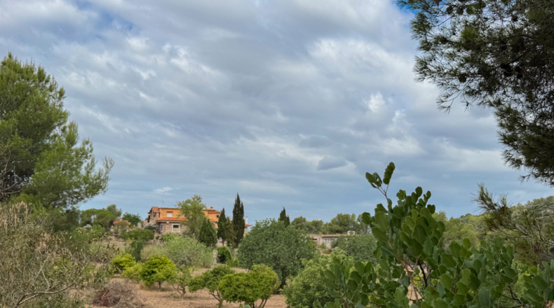Illes Balears - Manacor - 24000m2