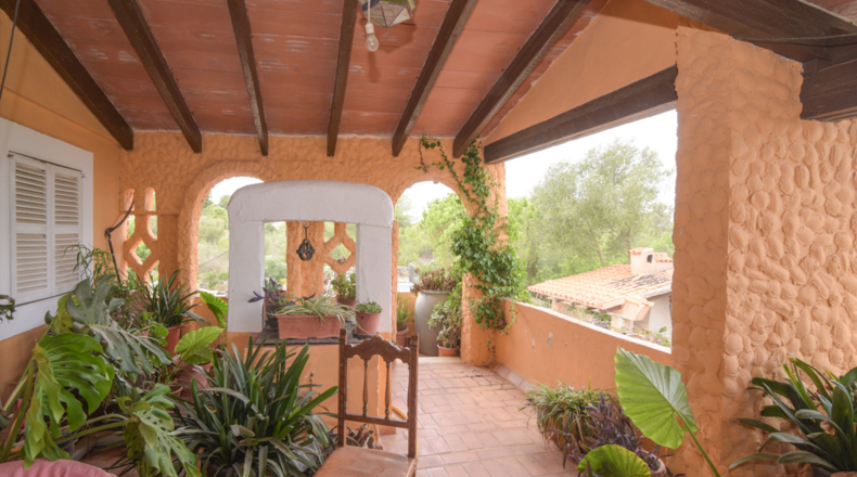 Illes Balears - Manacor - 24000m2