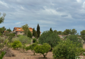 Detached villa with land for sale on Poligono. 07550, Felanitx, ref: TR353159 photo