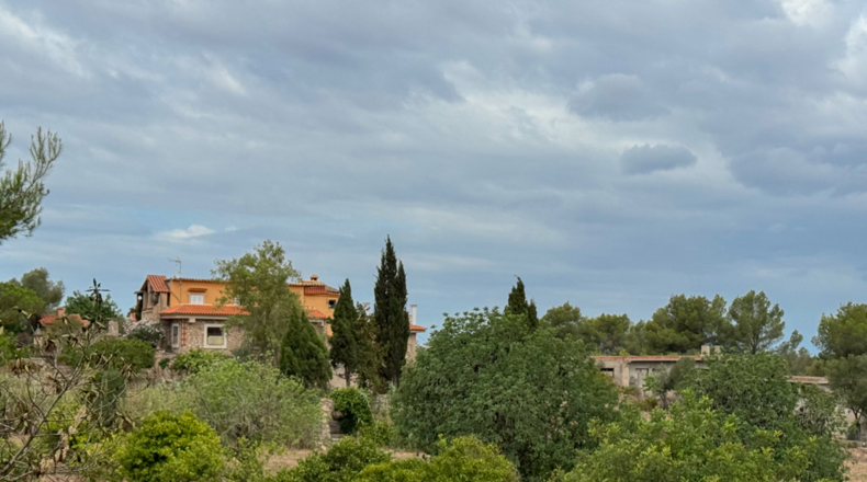 Illes Balears - Manacor - 24000m2