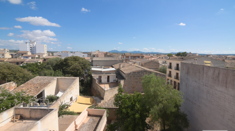 Illes Balears - Campos - 440m2