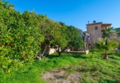 Casa de pueblo en venta en la Cami de Ferrutxelles. 07620, Llucmajor, ref: TR371292 foto