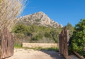 Casa de pueblo en venta en la Cami de Ferrutxelles. 07620, Llucmajor, ref: TR371292 foto