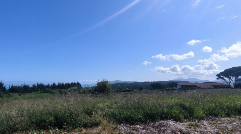 Biscay - Guecho - 13200m2