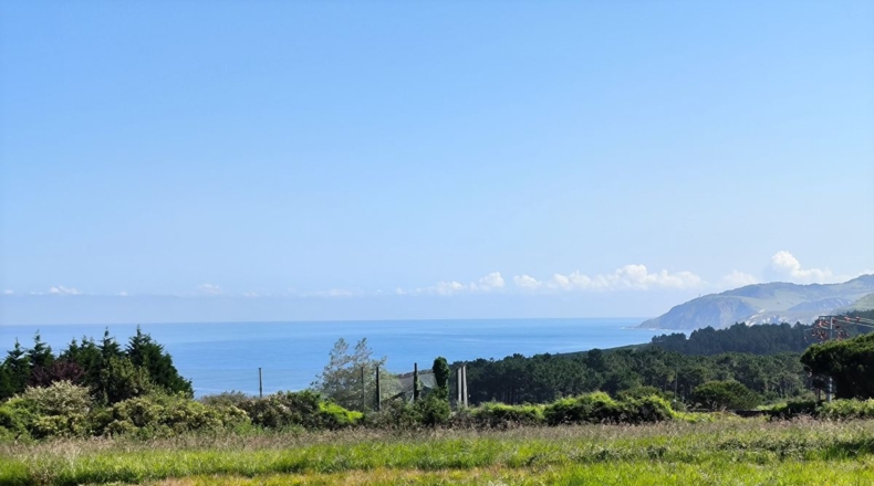 Biscay - Guecho - 13200m2