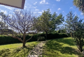 Foto 20